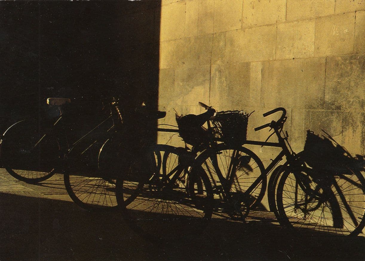 East Anglia Cambridge Essex Bicycles Shadows Rare Postcard