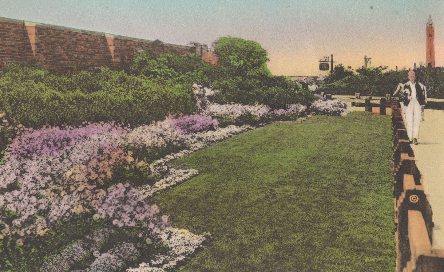 East Bathhouse Landscaping Jones Beach State Park NY USA Old Postcard