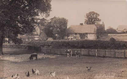 East Lavant Sussex Farm Hen Birds School House Old RPC Postcard
