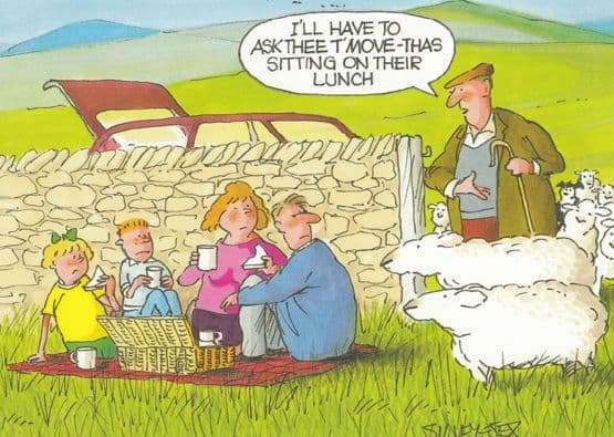 Eating A Picnic On Sheep Manure Farmer Arrives Comic Humour Postcard