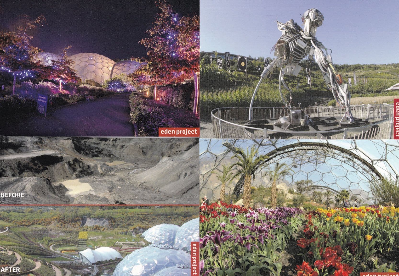 Eden Project Cornwall Giant Human Skeleton 4x Postcard s