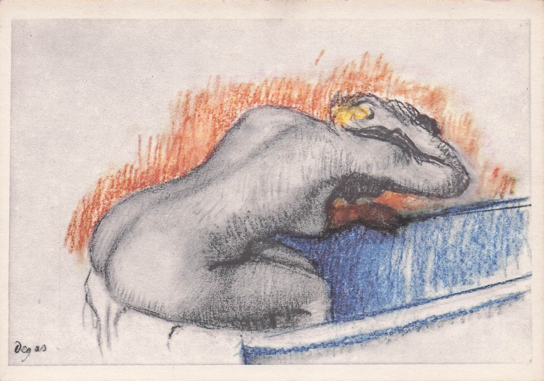 Edgar Degas Woman Washing In Her Bath Painting Postcard