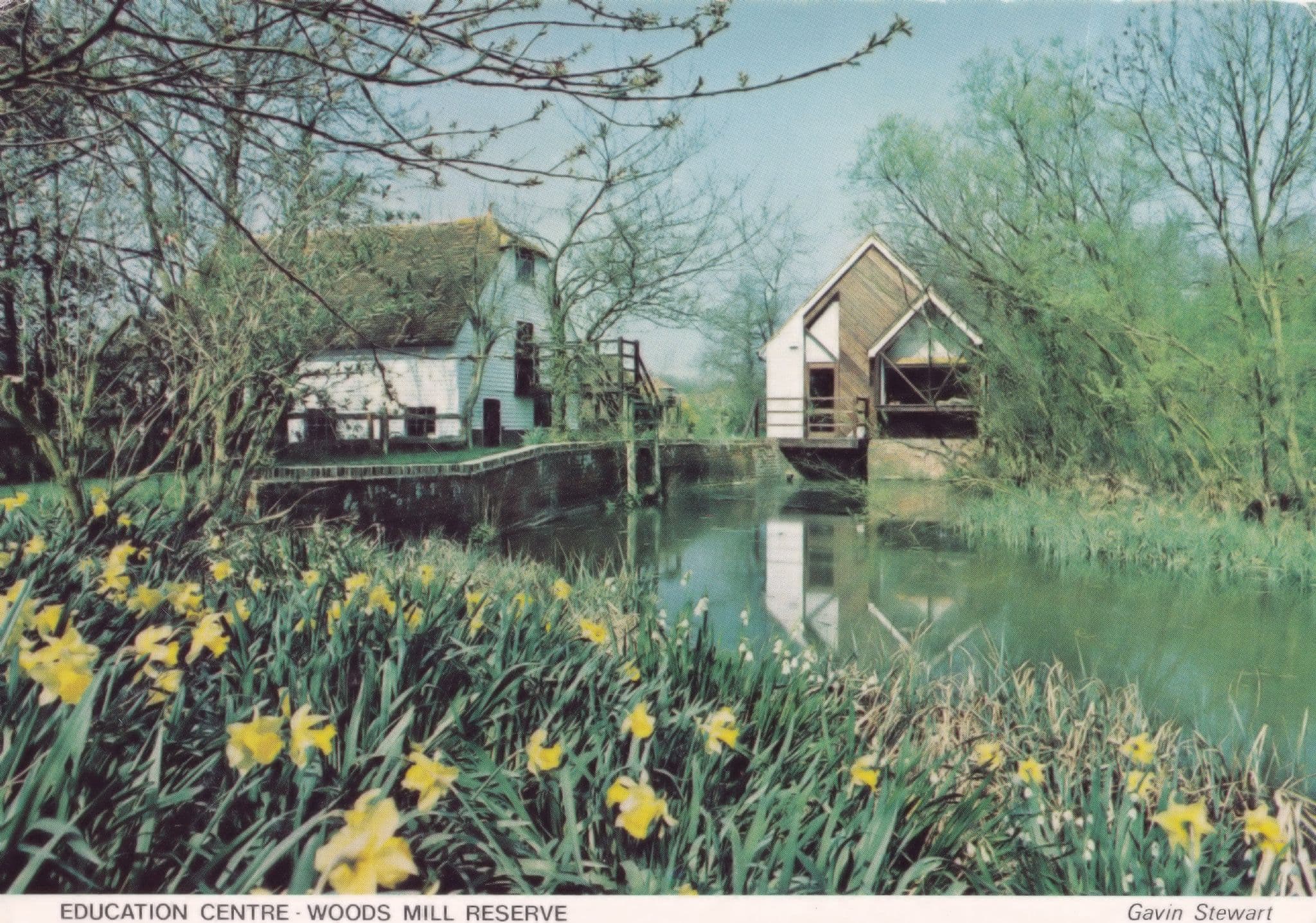 Education Centre Woods Mill Reserve Sussex Wildlife Trust Postcard