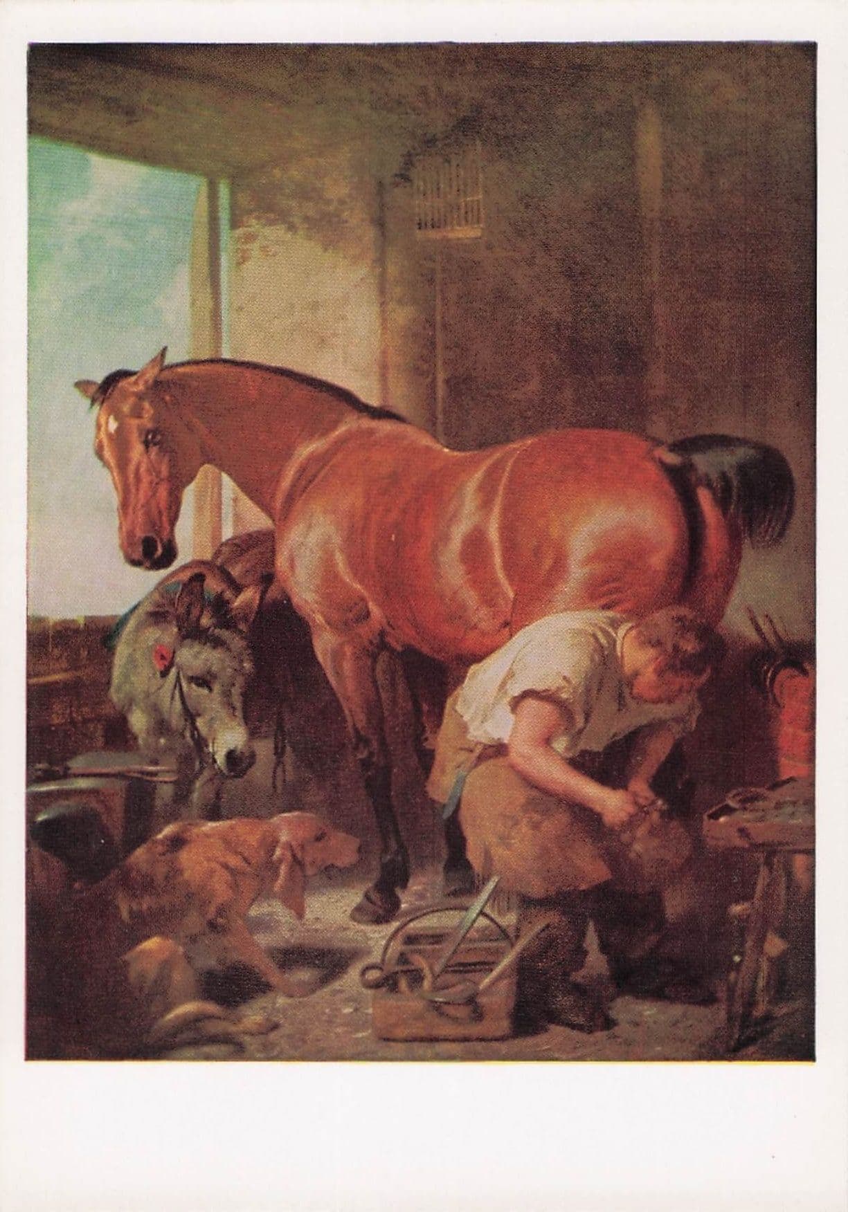 Edward Landseer Shoeing Hoofing Horse Tate Gallery Painting Postcard