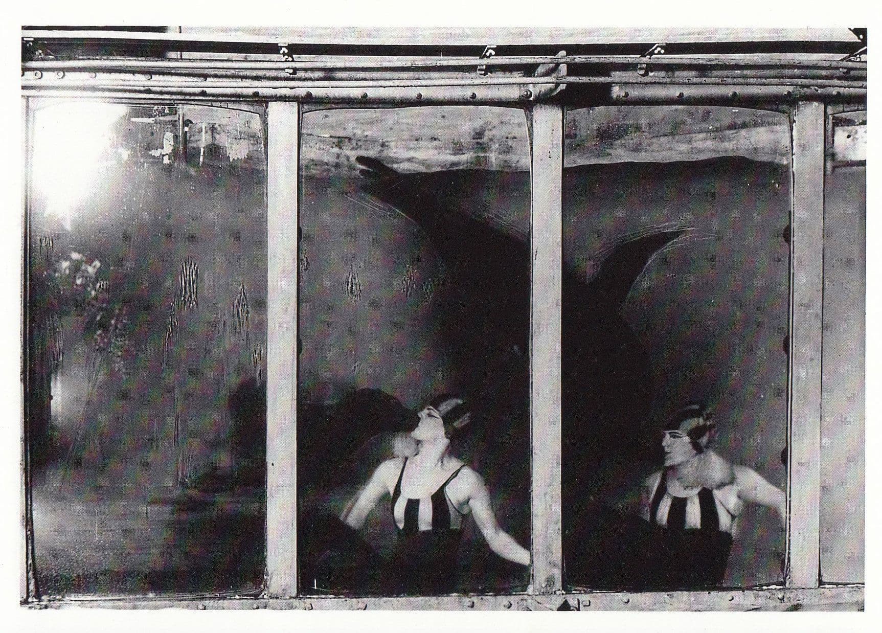 Edwardian Lady Swimming With Sea Lions Sealife Tank Photo Postcard