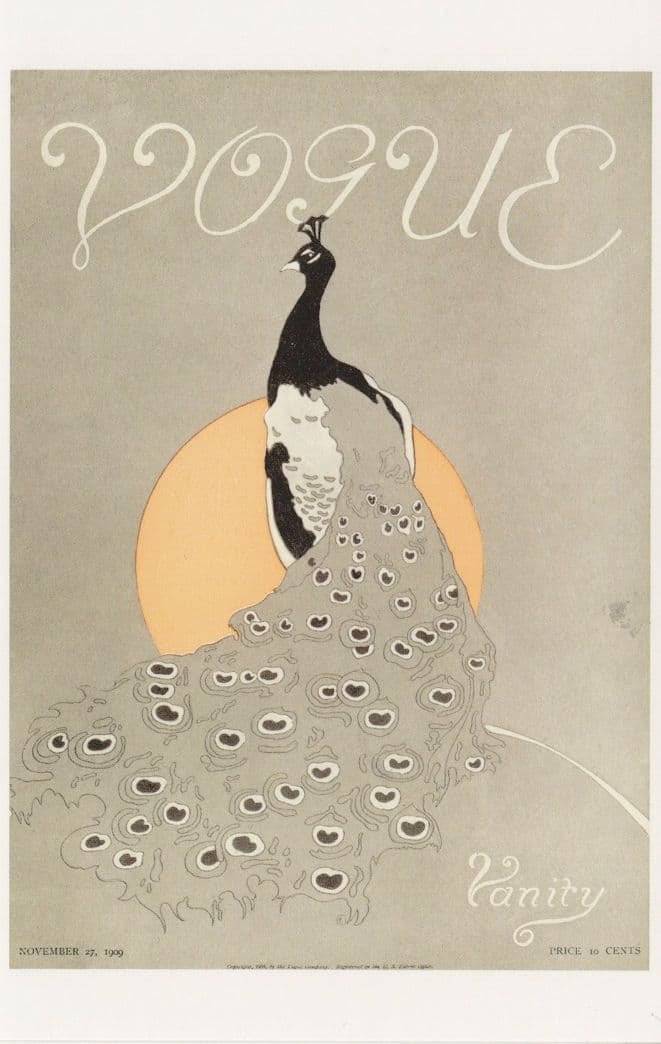 Edwardian Peacock Lady Bird Wears Ballgown 1909 Magazine Postcard