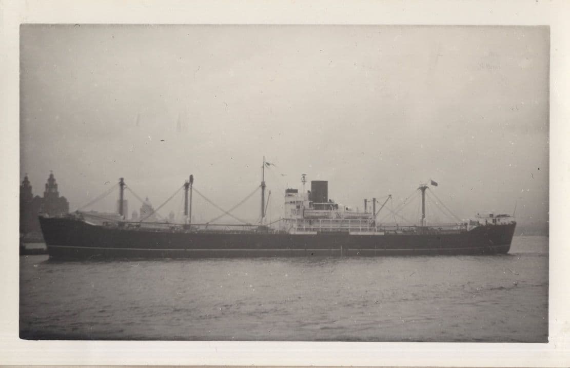 Egidia Motor Vessel Ship Built In 1945 War Vintage Rare Photo