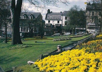 Elderly Man Looking At Oxfam Store Harrogate Yorkshire Postcard