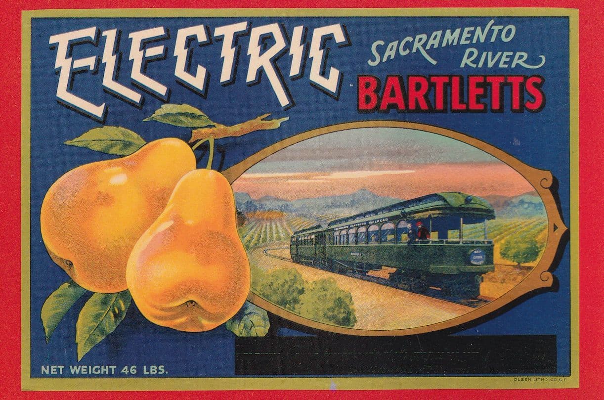 Electric Sacramento Bartletts Pears Fruit Advertising Postcard