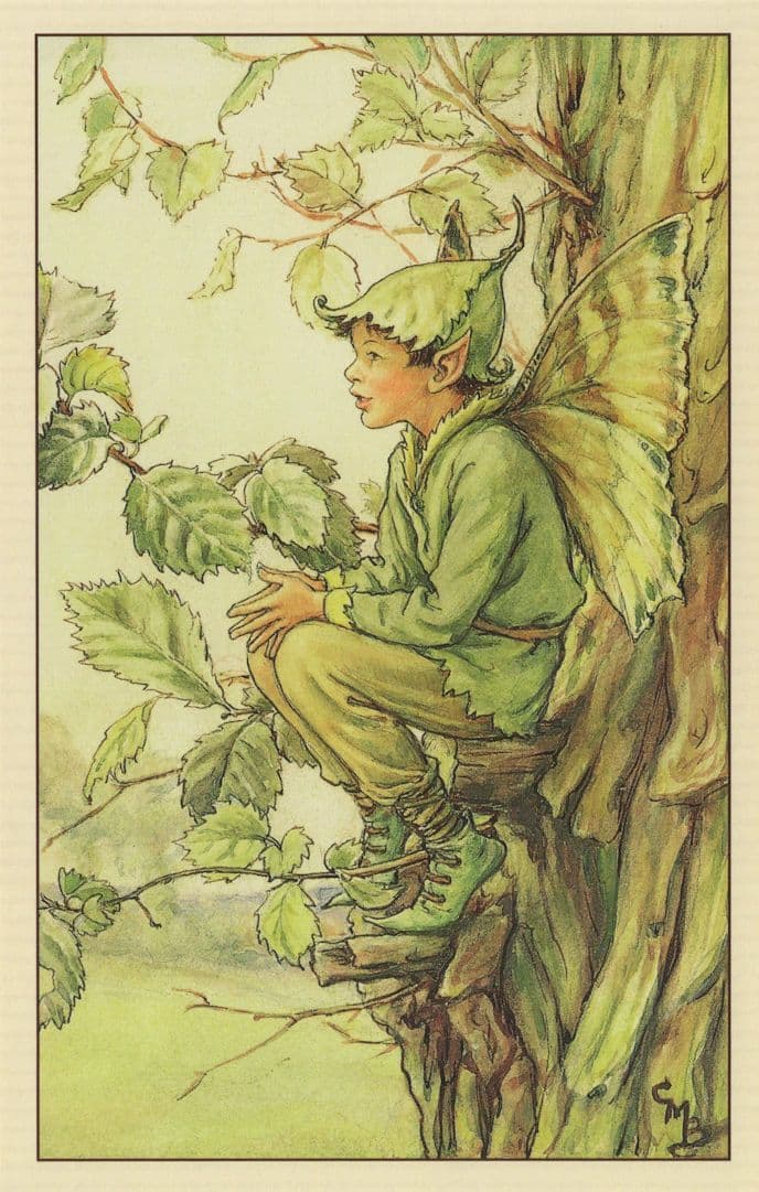 Elm Flower Fairy From WW2 Book Illustration Postcard