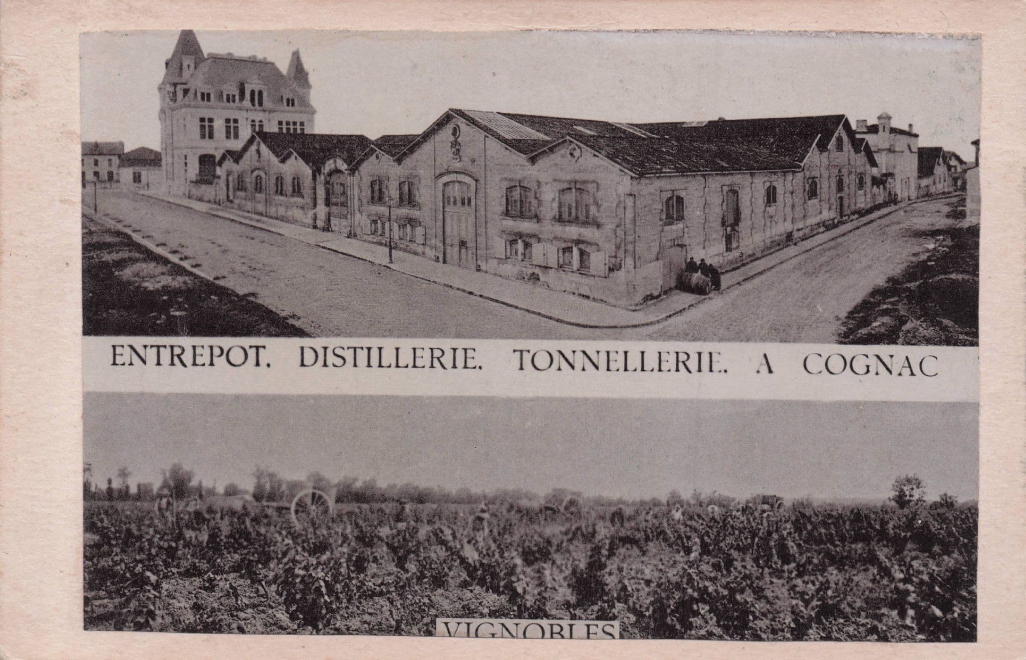 Entrepot Distillerie Tonnellerie A Cognac French Old Postcard