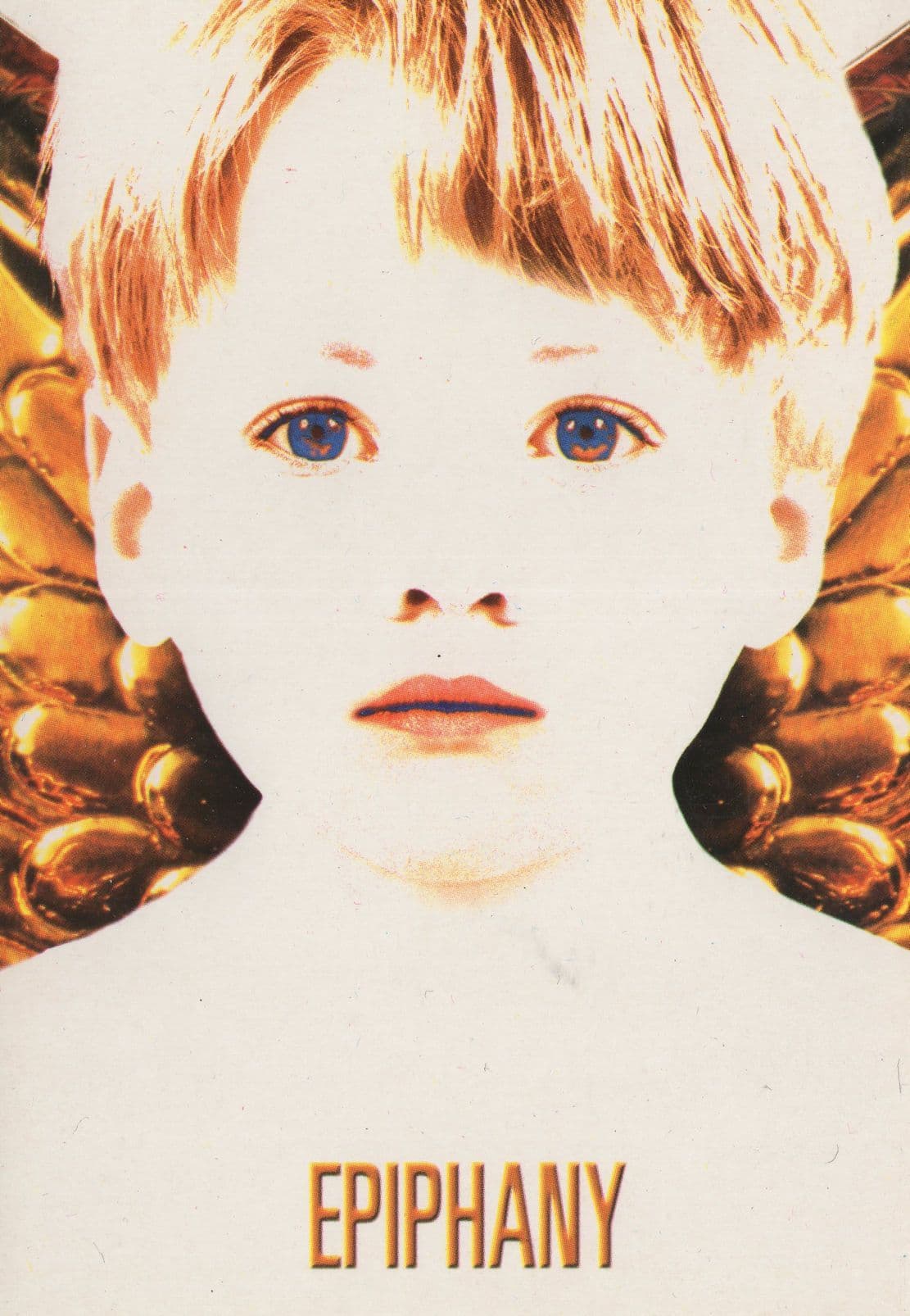 Epiphany David Hewson Rare Book Launch Postcard