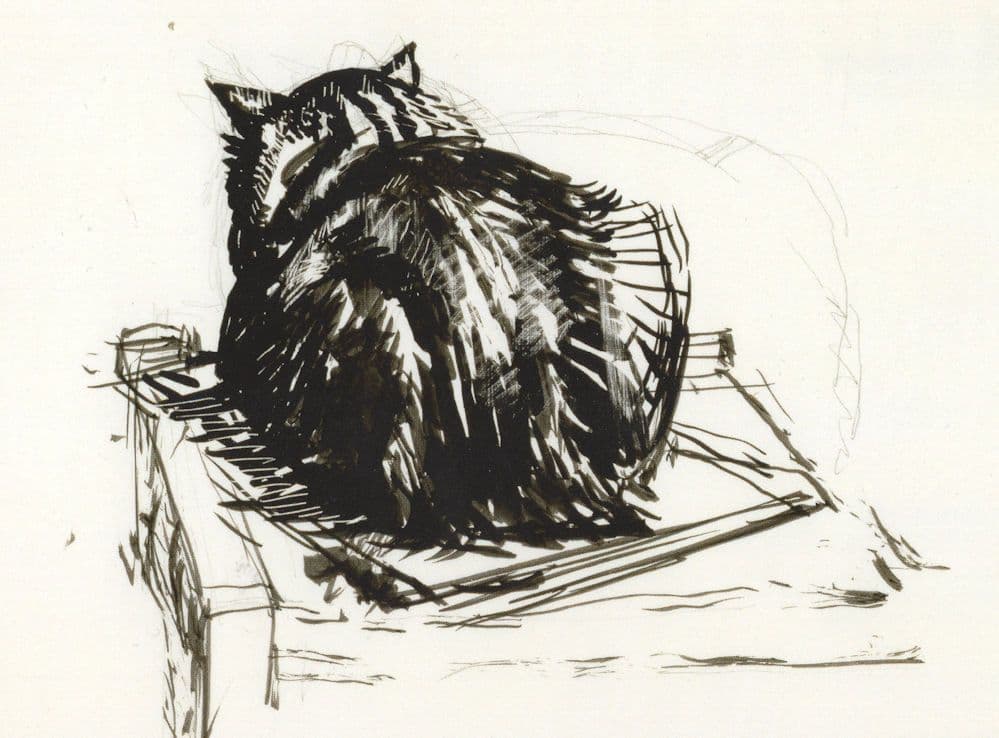 Ernest Jackson Study Of A Cat From Its Back 1920 Painting Postcard