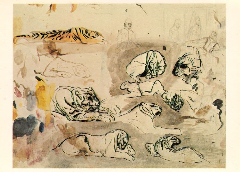 Eugene Delacroix Sheet Of Victorian Animal Studies Painting Postcard