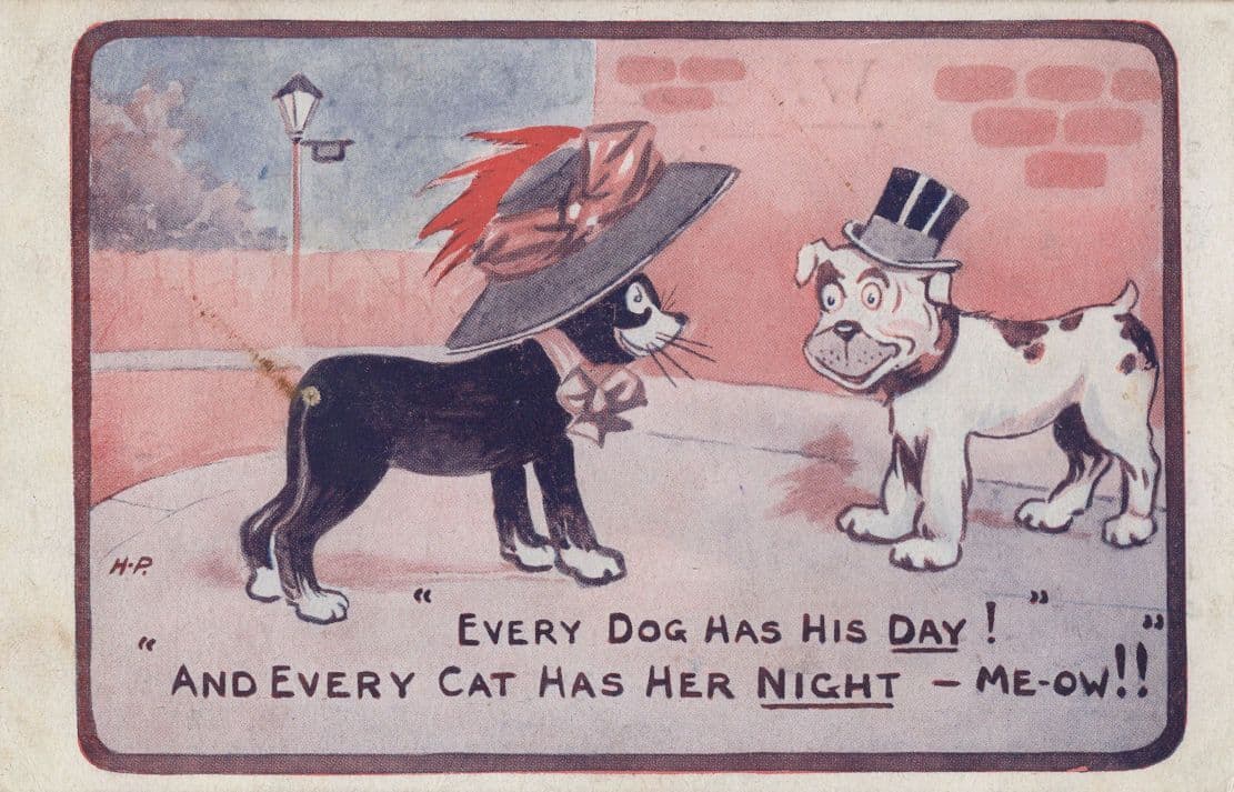 Every Dog Has Its Day Cat Out On The Town Old Comic Postcard