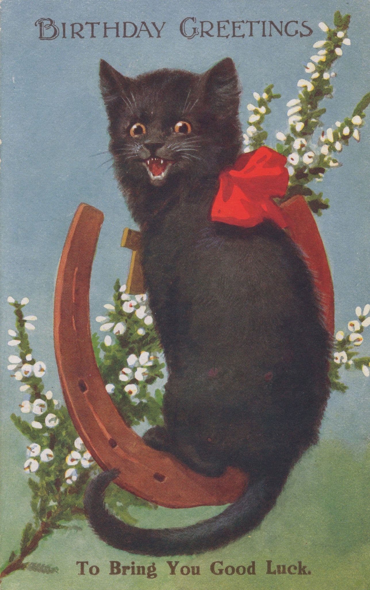 Evil Black Lucky Cat Snarling Antique Greetings Salmon Postcard