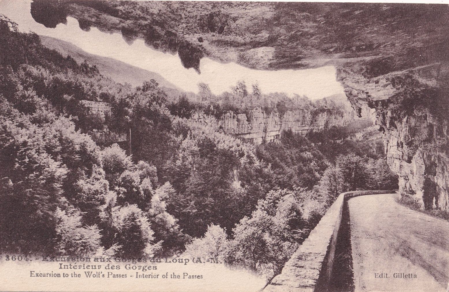 Excursion Aux Gorges Du Loup  Interieur Des Gorges Postcard