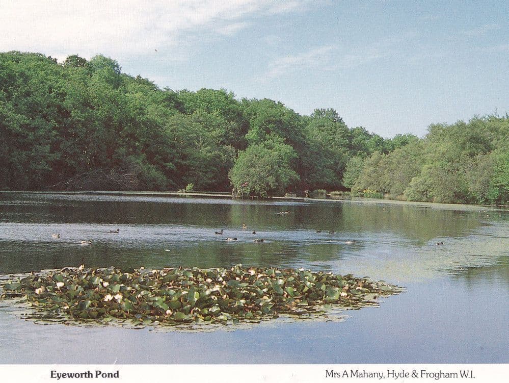 Eyeworth Pond Hampshire Rare Womens Institute Postcard