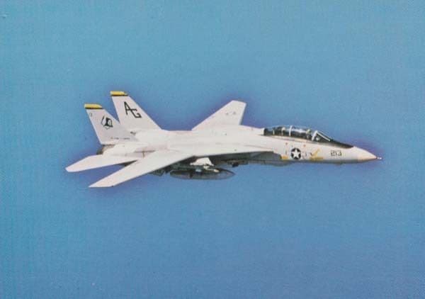 F14 Grumman Tomcat USS USA Dwight  Eisenhower Carrier Military Plane Postcard