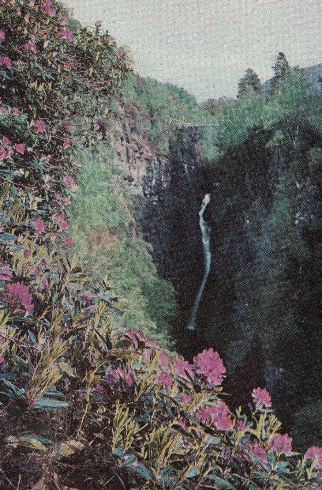 Falls Of Measach Gorge Of Corrieshalloch Ullapool Rare Postcard