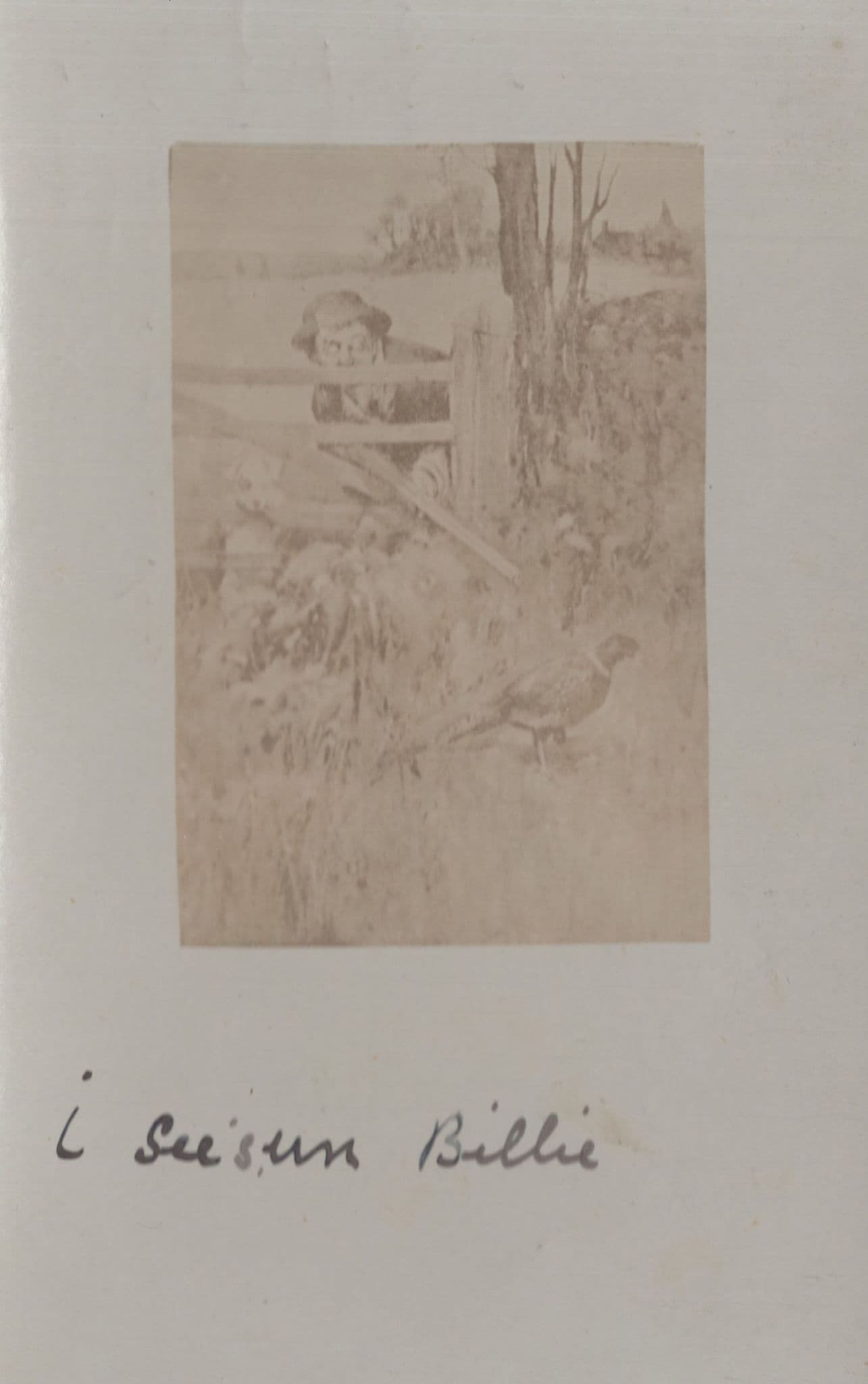 Farm Intruder With Gun Rifle Shooting Bird Old Real Photo Postcard