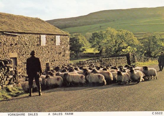 Farmer & 1970s Farm on Yorkshire Dales Old Postcard