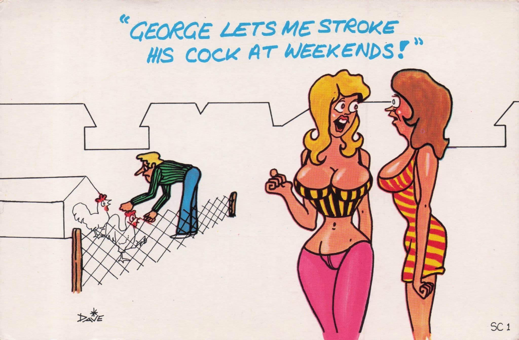 Farmer With Bird Cock Hen Cage Sexy Lady Stroking Comic Postcard
