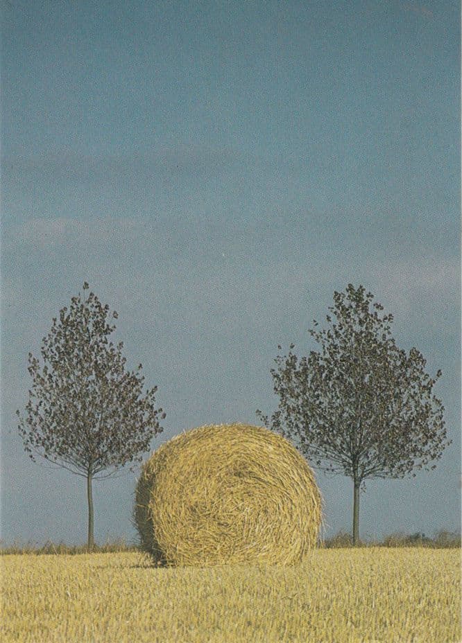 Farming An East Anglia Suffolk Straw Ball Postcard