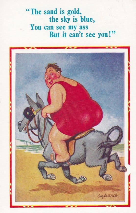 Fat Lady Riding Donkey Huge Bum Rodeo Ride On Beach Diet Comic Humour Postcard