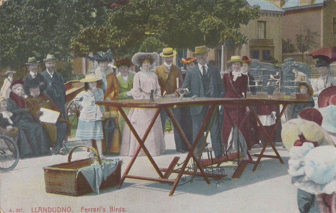 Ferrari's Performing Birds Llandudno Welsh Old Postcard