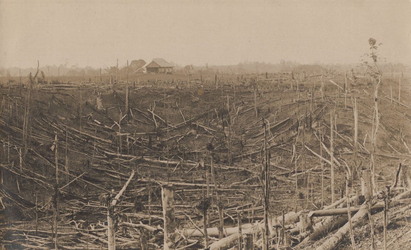 Field Disaster Dutch East Indies Indonesia Antique Asian RPC Postcard