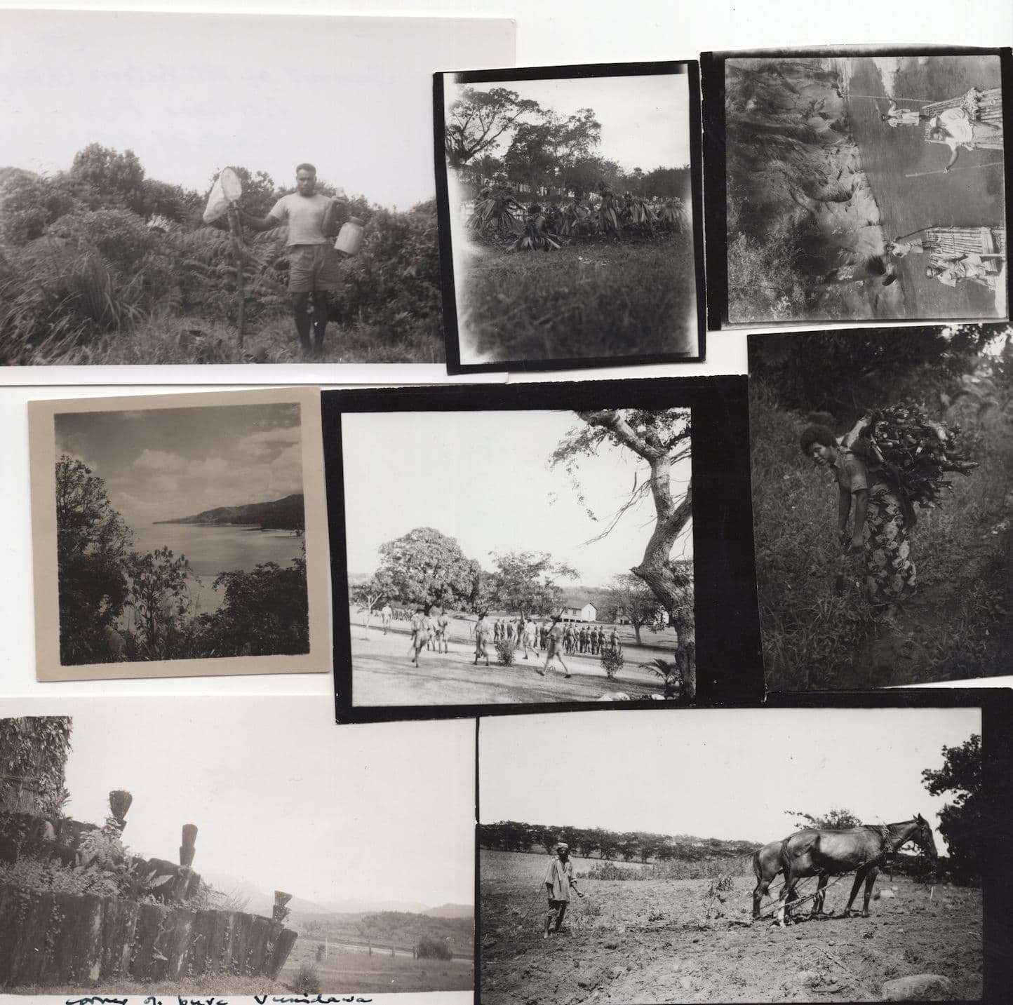Fiji A Private Travel Collection of Rare WW2 Vintage Old Photo s