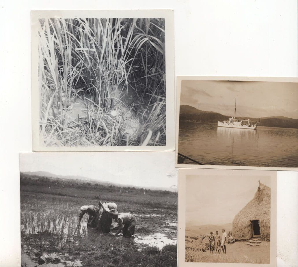 Fiji Army Damage Transplanting War 1938 Ship Straw House 4x Photo s