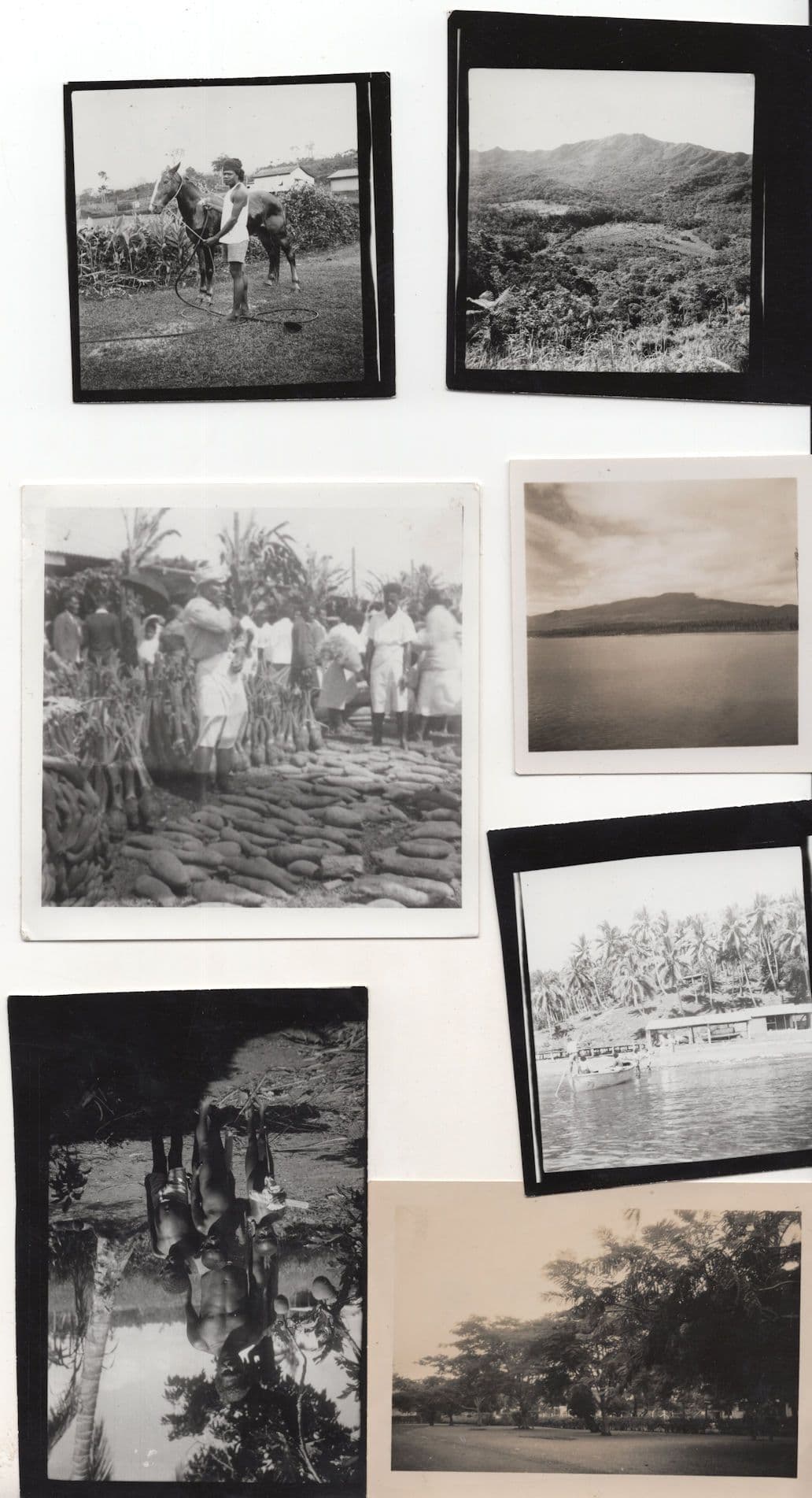 Fiji Horse Markets Jungle Family Boat 7x Old Photo s