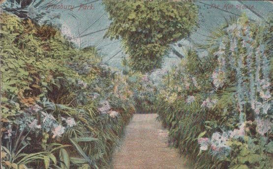 Finsbury Park Garden Path Flowers Antique Postcard