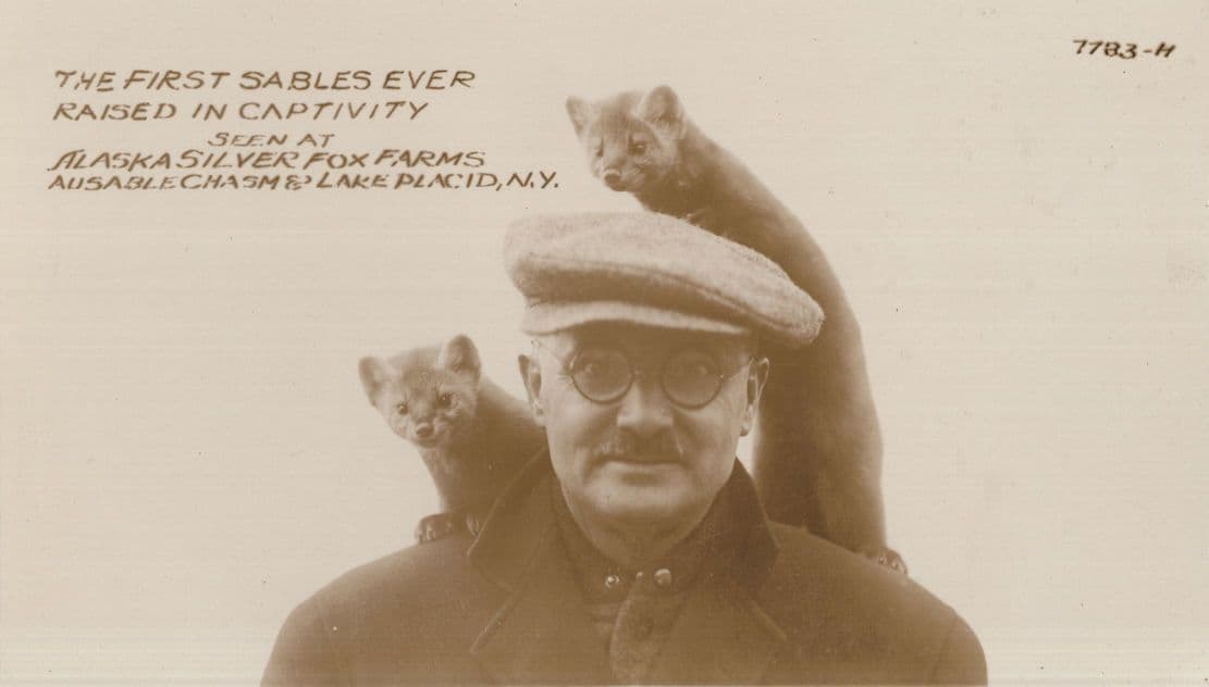 First Baby Sables Animal Russian Chinese Fur Trade Rare Old Postcard