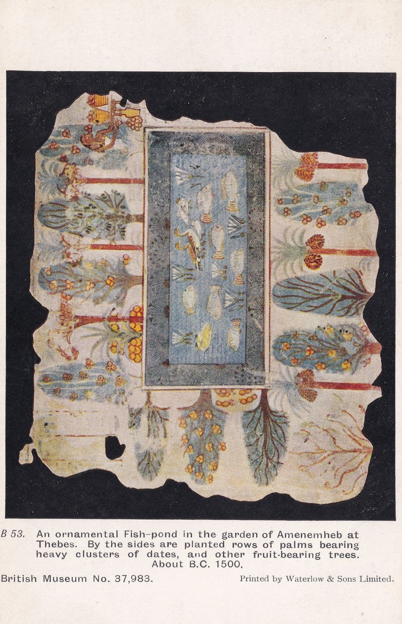 Fish Pond Greek Greece Mural Fruit Trees Amenemheb Postcard