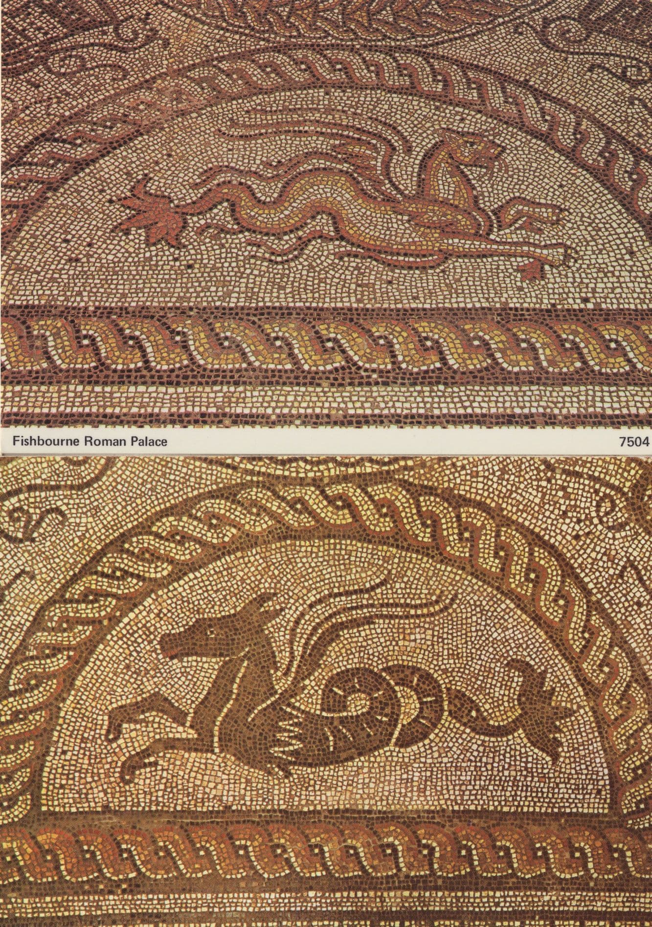 Fishbourne Roman Seahorse Palace Fish Panther 2x Mural Postcard s