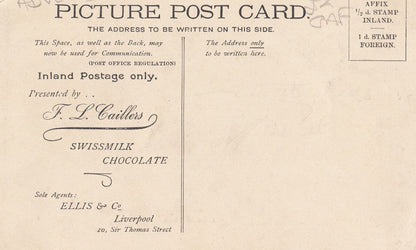 FL Caillers Swiss Schweiz Milk Milch Chocolade Chocolate 2x Advertising Postcard