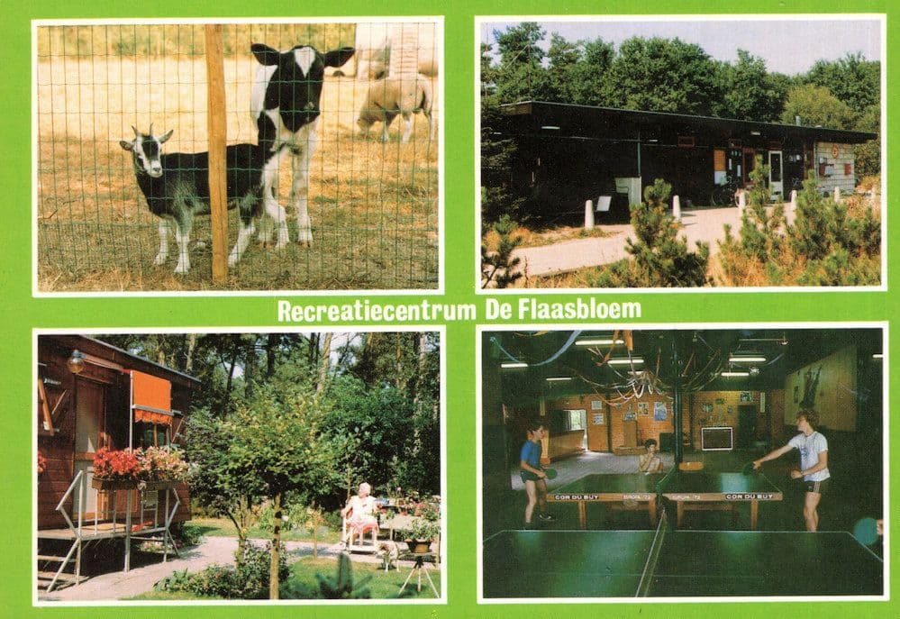 Flaasdijk Holiday Park Chaam Brabant Table Tennis Dutch Postcard