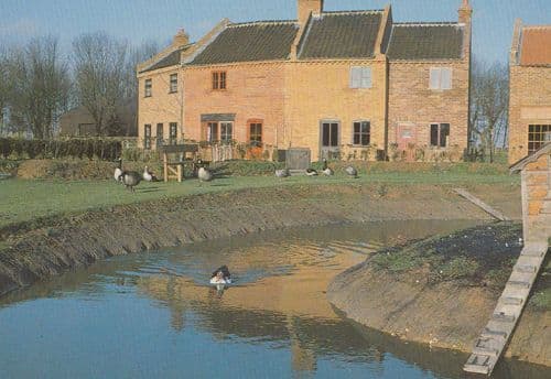 Fleggburgh Norfolk Ducks Lake Village River View Postcard