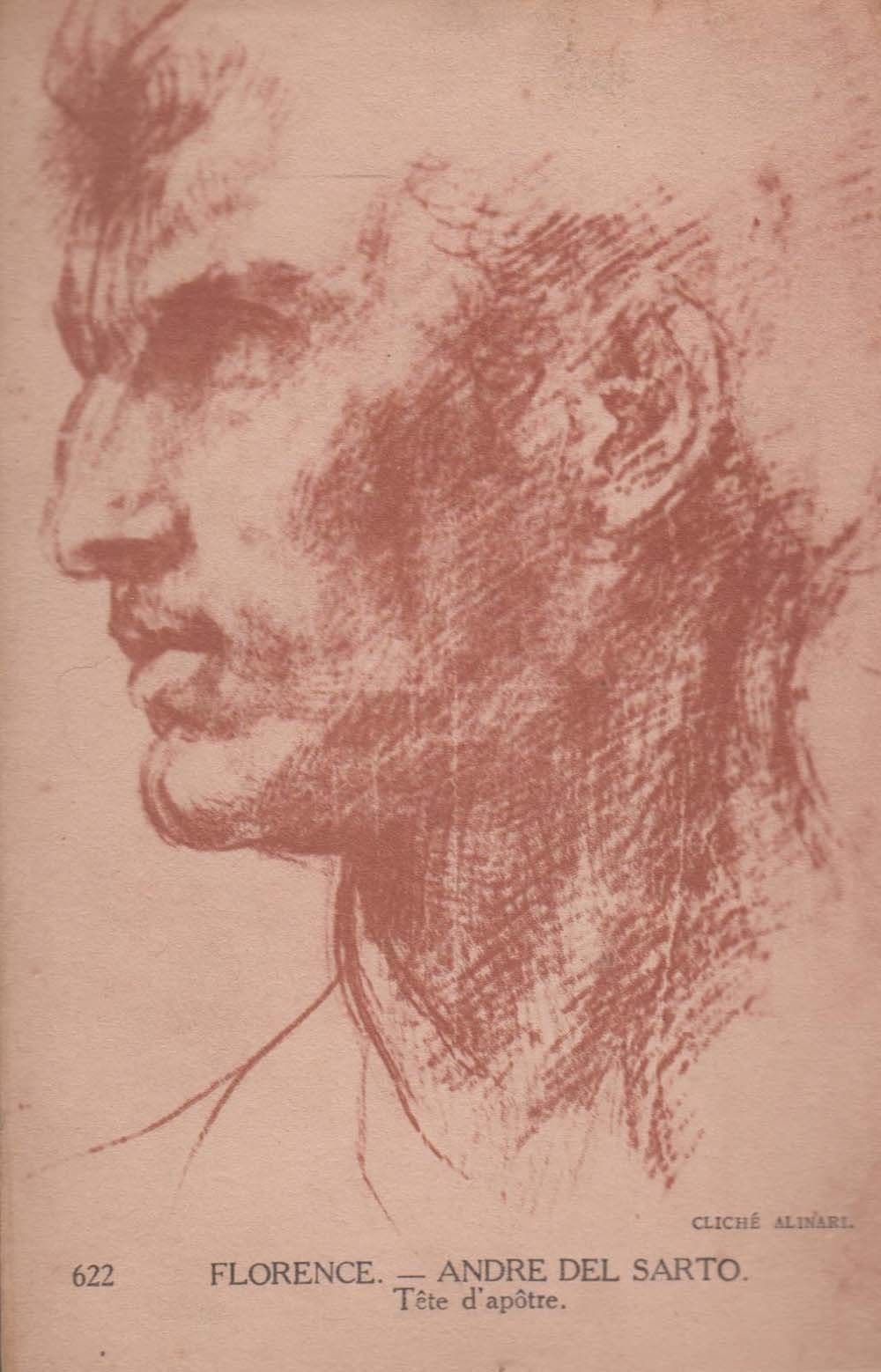 Florence Andre Del Sarto Painting Old Antique Postcard