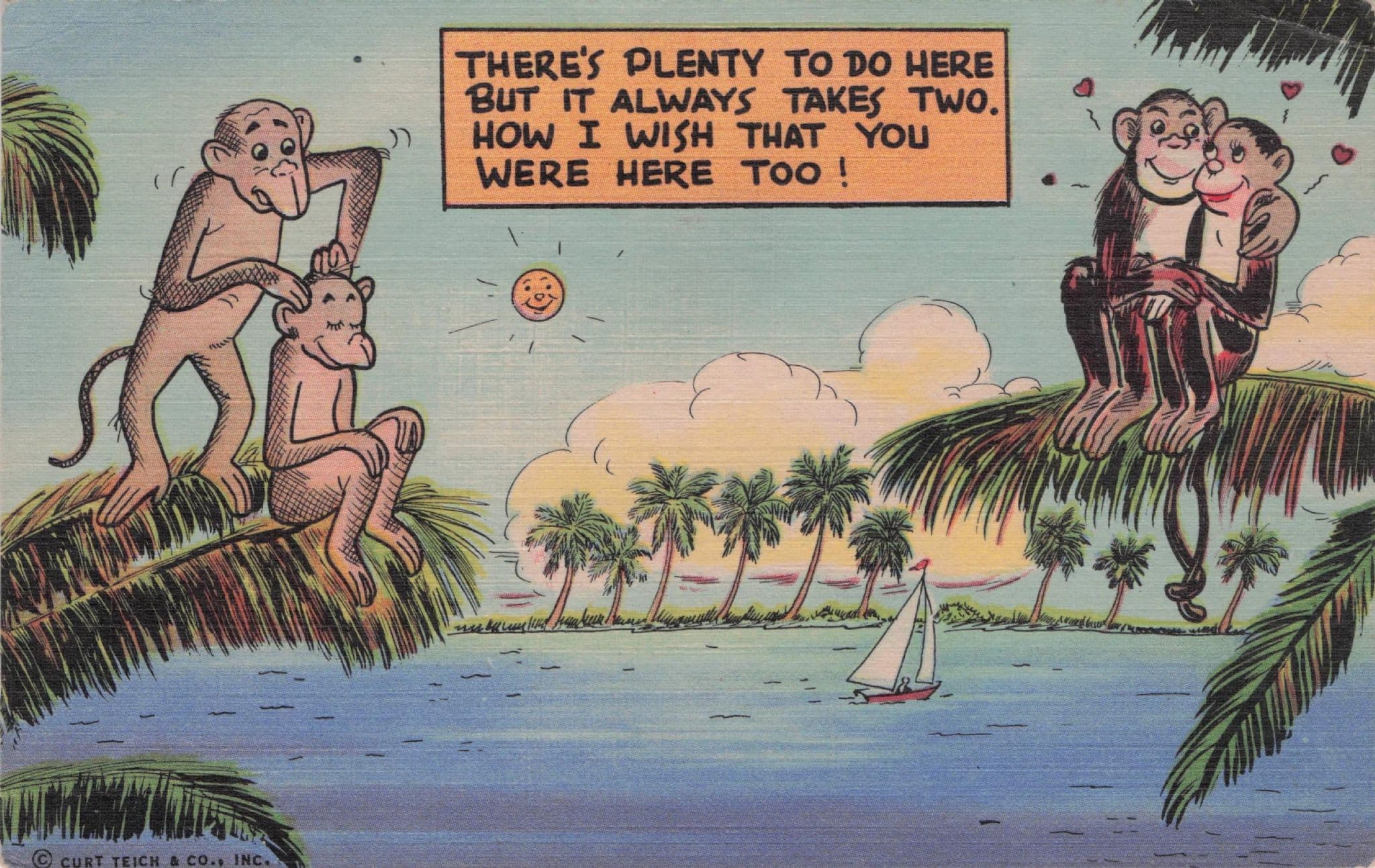 Florida Monkey Lovers Boats River Vintage Linen USA Comic Postcard