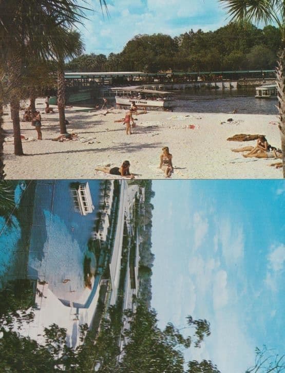 Florida Silver Springs 2x Postcard