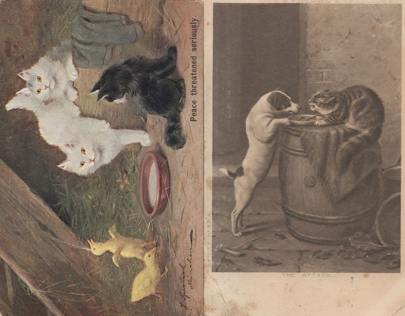 Food Of Bowl Fights 2x Cat Dog Bird Farm Fair Cond Postcard s