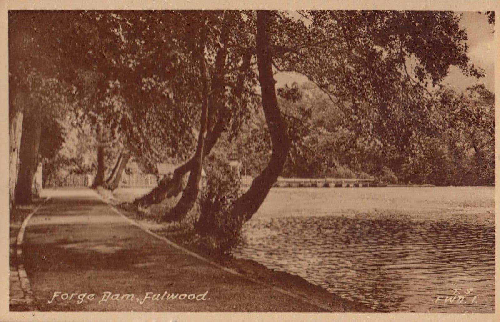 Forge Dam Sheffield Fulwood Antique Postcard