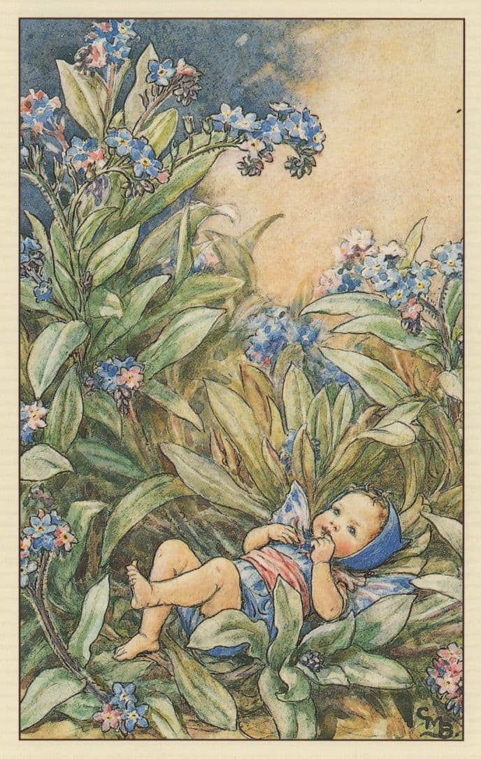 Forget Me Not Fairy From 1944 WW2 Book Stunning Postcard