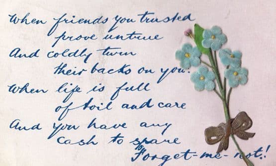 Forget Me Not Real Flower Hand Made Antique Three Dimensional Postcard