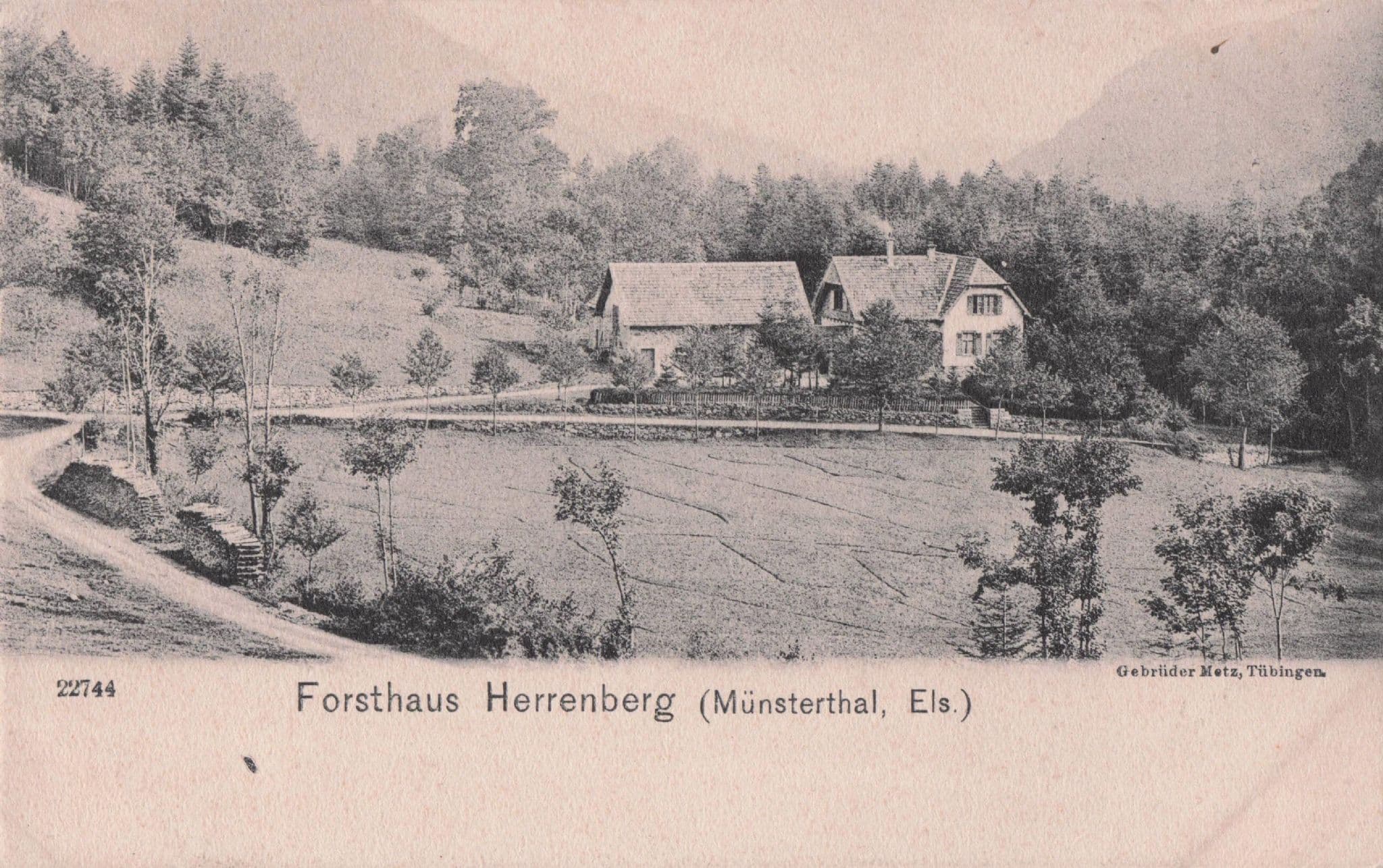 Forsthaus Herrenberg Munstertal German Old Postcard