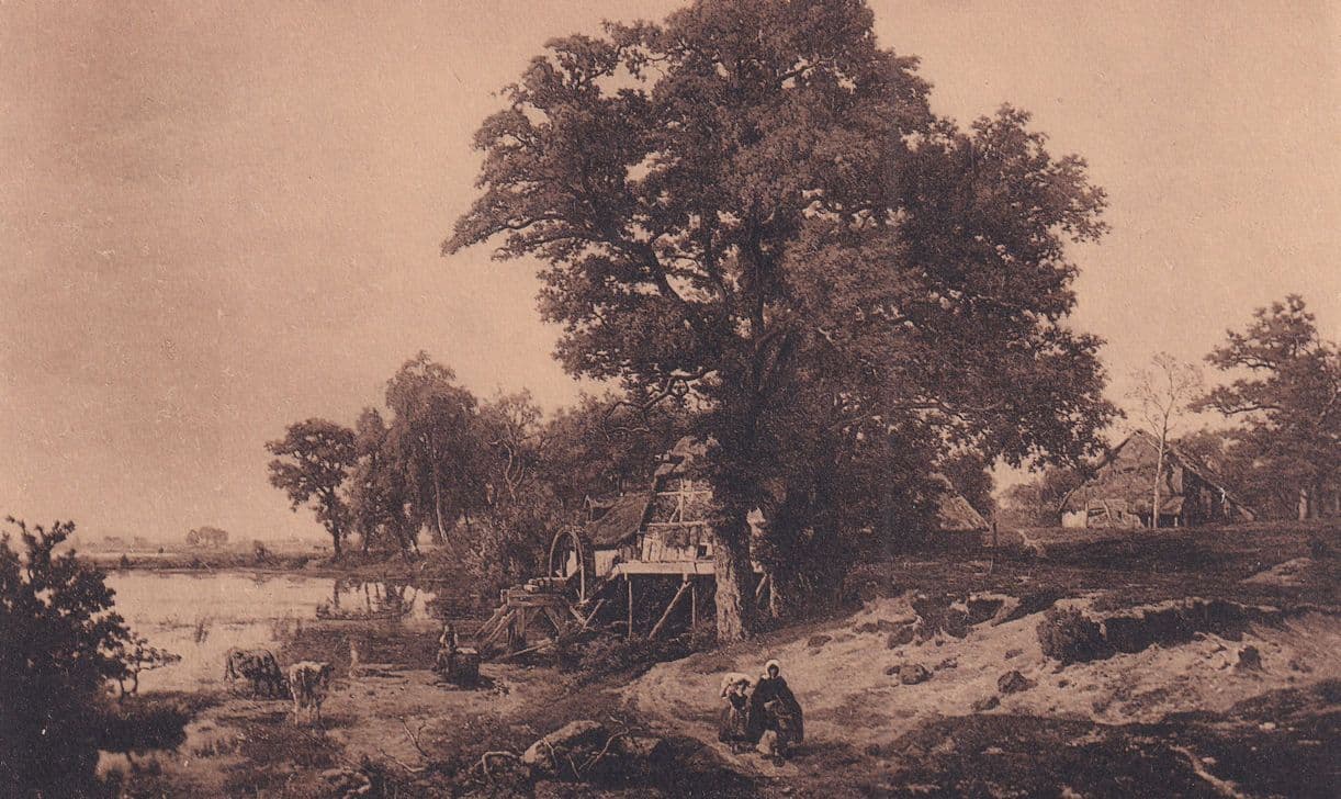 Fourmois Vue Prise Dans La Campine Antique Painting Postcard